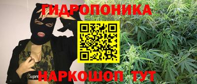трава Тулун