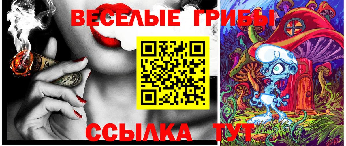 Псилоцибиновые грибы мицелий Шарыпово